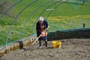 Paysages zones vertes